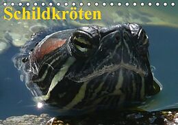 Kalender Schildkröten (Tischkalender immerwährend DIN A5 quer) von Elisabeth Stanzer