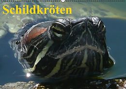 Kalender Schildkröten (Wandkalender immerwährend DIN A2 quer) von Elisabeth Stanzer