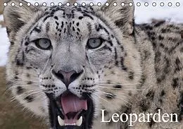 Kalender Leoparden (Tischkalender immerwährend DIN A5 quer) von Elisabeth Stanzer