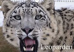 Kalender Leoparden (Wandkalender immerwährend DIN A4 quer) von Elisabeth Stanzer