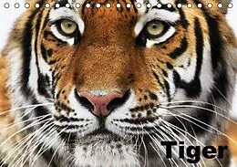 Kalender Tiger (Tischkalender immerwährend DIN A5 quer) von Elisabeth Stanzer