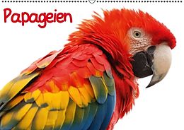 Kalender Papageien (Wandkalender immerwährend DIN A2 quer) von Elisabeth Stanzer