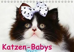 Kalender Katzen-Babys (Tischkalender immerwährend DIN A5 quer) von Elisabeth Stanzer