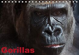 Kalender Gorillas / Geburtstagskalender (Tischkalender immerwährend DIN A5 quer) von Elisabeth Stanzer
