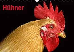 Kalender Hühner / Geburtstagskalender (Wandkalender immerwährend DIN A3 quer) von Elisabeth Stanzer