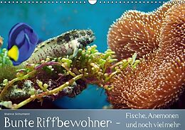 Kalender Bunte Riffbewohner - Fische, Anemonen und noch viel mehr (Wandkalender immerwährend DIN A3 quer) von Bianca Schumann