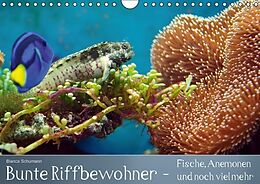 Kalender Bunte Riffbewohner - Fische, Anemonen und noch viel mehr (Wandkalender immerwährend DIN A4 quer) von Bianca Schumann