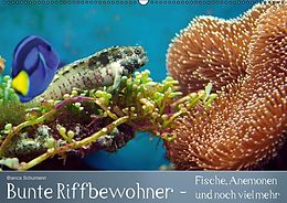 Kalender Bunte Riffbewohner - Fische, Anemonen und noch viel mehr (Wandkalender immerwährend DIN A2 quer) von Bianca Schumann