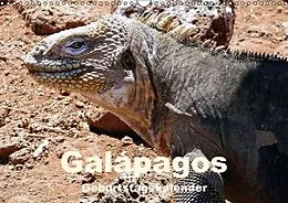 Kalender Galápagos Geburtstagskalender (Wandkalender immerwährend DIN A3 quer) von Dr. Rudolf Blank