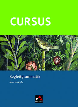 Kartonierter Einband Cursus  Neue Ausgabe / Cursus  Neue Ausgabe Begleitgrammatik von Britta Boberg, Friedrich Maier, Wolfgang Matheus