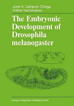E-Book (pdf) The Embryonic Development of Drosophila melanogaster von Jose A. Campos-Ortega, Volker Hartenstein