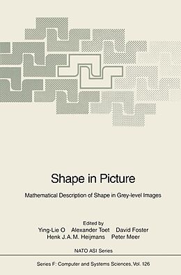 eBook (pdf) Shape in Picture de 