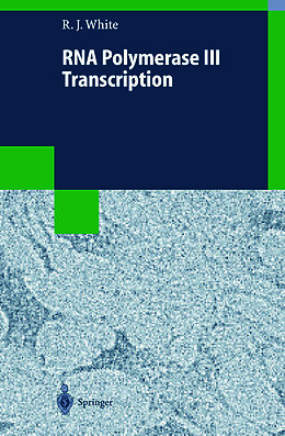 Kartonierter Einband RNA Polymerase III Transcription von Robert J. White