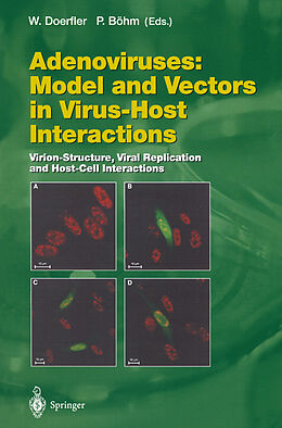 eBook (pdf) Adenoviruses: Model and Vectors in Virus-Host Interactions de 