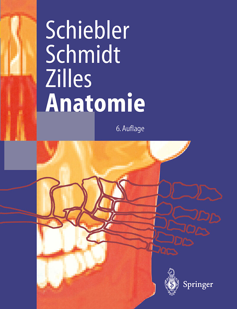 Anatomie