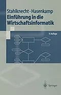 E-Book (pdf) Einführung in die Wirtschaftsinformatik von Peter Stahlknecht, Ulrich Hasenkamp