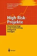 E-Book (pdf) High-Risk-Projekte von 