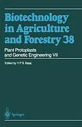 E-Book (pdf) Plant Protoplasts and Genetic Engineering VII von Y. P. S. Bajaj