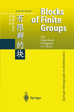 E-Book (pdf) Blocks of Finite Groups von Lluis Puig