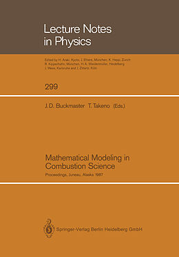 Kartonierter Einband Mathematical Modeling in Combustion Science von 