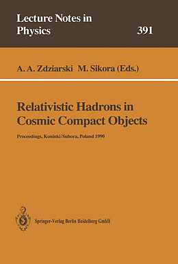 Kartonierter Einband Relativistic Hadrons in Cosmic Compact Objects von 