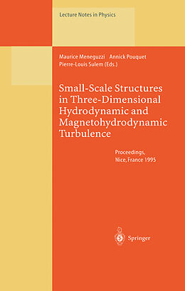 Kartonierter Einband Small-Scale Structures in Three-Dimensional Hydrodynamic and Magnetohydrodynamic Turbulence von 