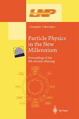 Kartonierter Einband Particle Physics in the New Millennium von 