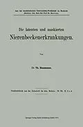 E-Book (pdf) Die latenten und maskierten Nierenbeckenerkrankungen von Theodor Hausmann
