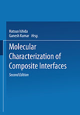 E-Book (pdf) Molecular Characterization of Composite Interfaces von Adalbert von Rubinowicz