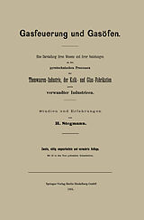 E-Book (pdf) Gasfeuerung und Gasöfen von Heinrich Stegmann
