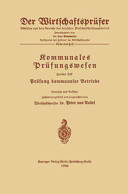E-Book (pdf) Kommunales Prüfungswesen von Peter van Aubel