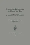 E-Book (pdf) Synthese der Zellbausteine in Pflanze und Tier von Emil Abderhalden