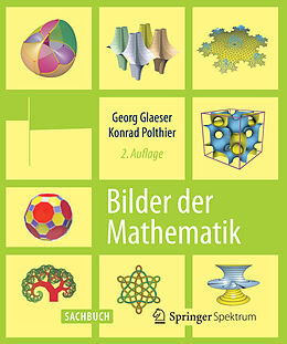 Kartonierter Einband Bilder der Mathematik von Georg Glaeser, Konrad Polthier