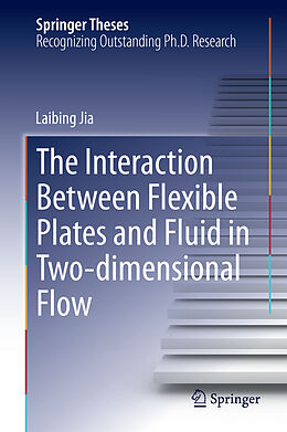 Fester Einband The Interaction Between Flexible Plates and Fluid in Two-dimensional Flow von Laibing Jia