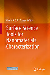 eBook (pdf) Surface Science Tools for Nanomaterials Characterization de 