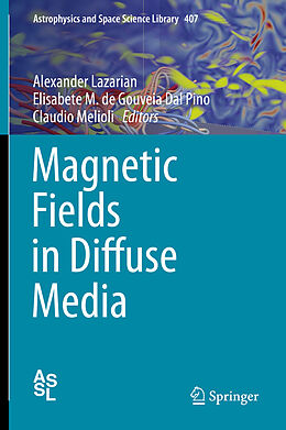 eBook (pdf) Magnetic Fields in Diffuse Media de 