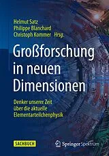 Kartonierter Einband (Kt) Großforschung in neuen Dimensionen von Helmut Satz, Philippe Blanchard
