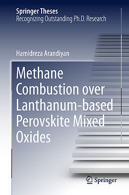 Fester Einband Methane Combustion over Lanthanum-based Perovskite Mixed Oxides von Hamidreza Arandiyan