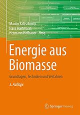 E-Book (pdf) Energie aus Biomasse von 