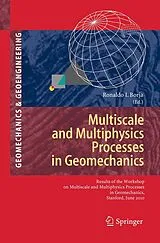 Kartonierter Einband Multiscale and Multiphysics Processes in Geomechanics von