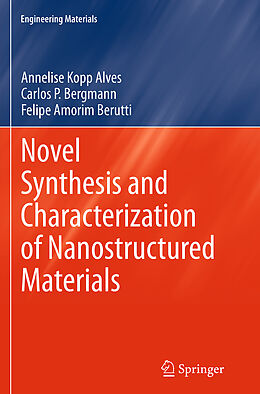 Couverture cartonnée Novel Synthesis and Characterization of Nanostructured Materials de Annelise Kopp Alves, Carlos P. Bergmann, Felipe Amorim Berutti