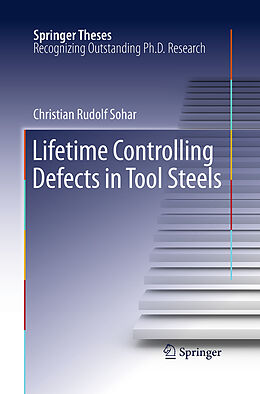 Kartonierter Einband Lifetime Controlling Defects in Tool Steels von Christian Rudolf Sohar