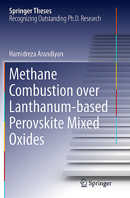 Kartonierter Einband Methane Combustion over Lanthanum-based Perovskite Mixed Oxides von Hamidreza Arandiyan