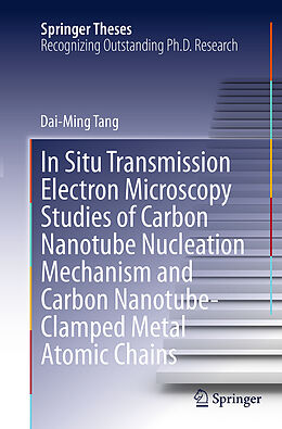 Kartonierter Einband In Situ Transmission Electron Microscopy Studies of Carbon Nanotube Nucleation Mechanism and Carbon Nanotube-Clamped Metal Atomic Chains von Dai-Ming Tang