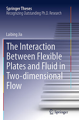 Kartonierter Einband The Interaction Between Flexible Plates and Fluid in Two-dimensional Flow von Laibing Jia