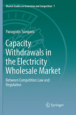 Kartonierter Einband Capacity Withdrawals in the Electricity Wholesale Market von Panagiotis Tsangaris