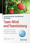 E-Book (pdf) Team-Mind und Teamleistung von Joachim Hasebrook, Benedikt Hackl, Sibyll Rodde