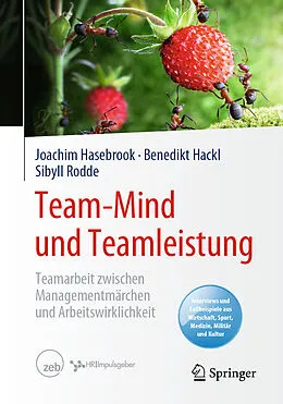 E-Book (pdf) Team-Mind und Teamleistung von Joachim Hasebrook, Benedikt Hackl, Sibyll Rodde