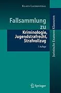 E-Book (pdf) Fallsammlung zu Kriminologie, Jugendstrafrecht, Strafvollzug von Klaus Laubenthal