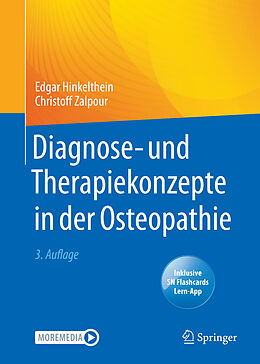 Set mit div. Artikeln (Set) Diagnose- und Therapiekonzepte in der Osteopathie von Edgar Hinkelthein, Christoff Zalpour